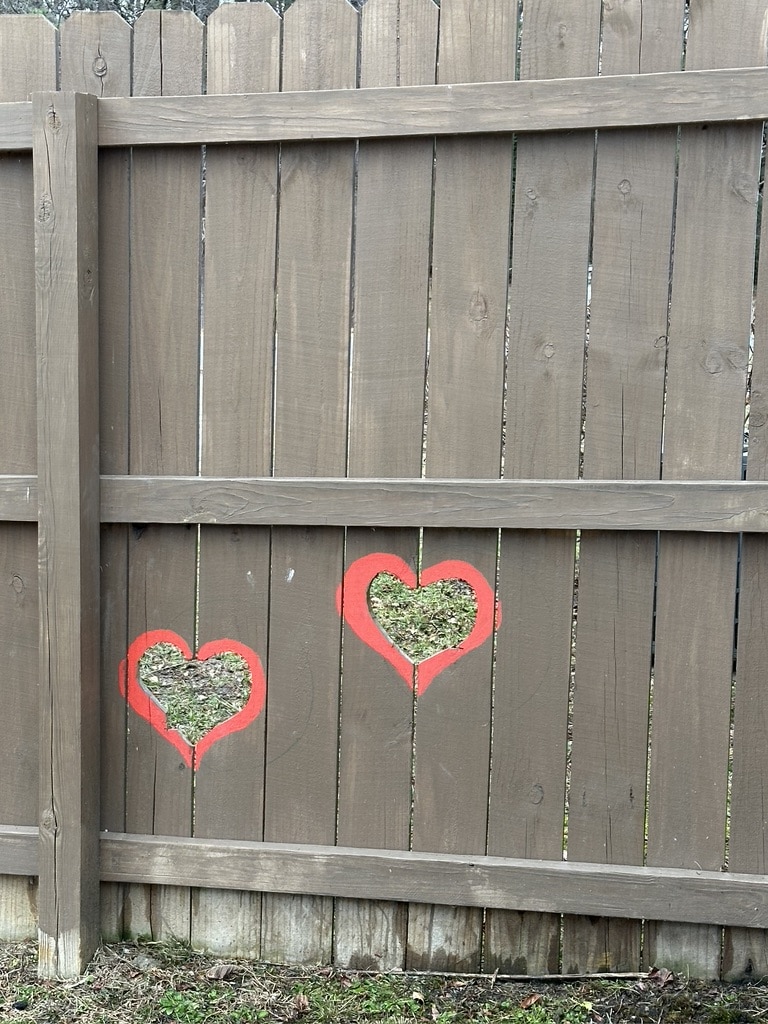 Cute "windows" in fence